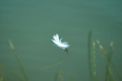 Прикрепленное изображение: DSC03938-1.jpg